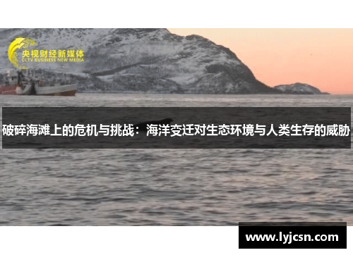 破碎海滩上的危机与挑战：海洋变迁对生态环境与人类生存的威胁